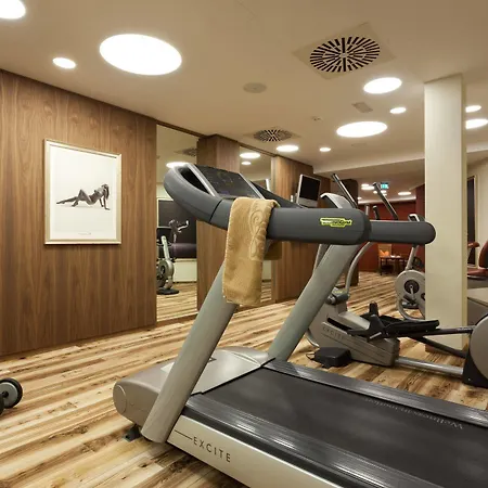 Alpenhof Hotel 4*