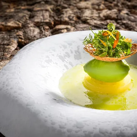 Alpenhof מלון טוקס