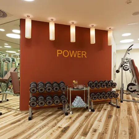 Alpenhof 4* טוקס