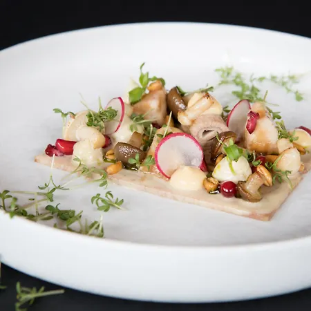 Alpenhof 4* טוקס